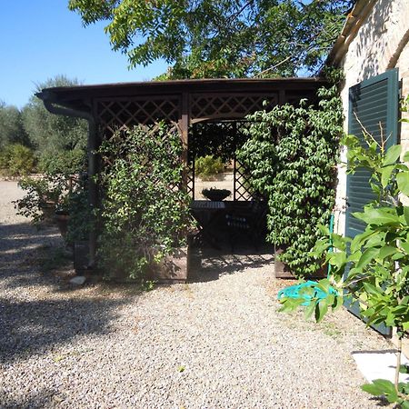 Fontemaggio Apartment Colle di Val d'Elsa Exterior photo