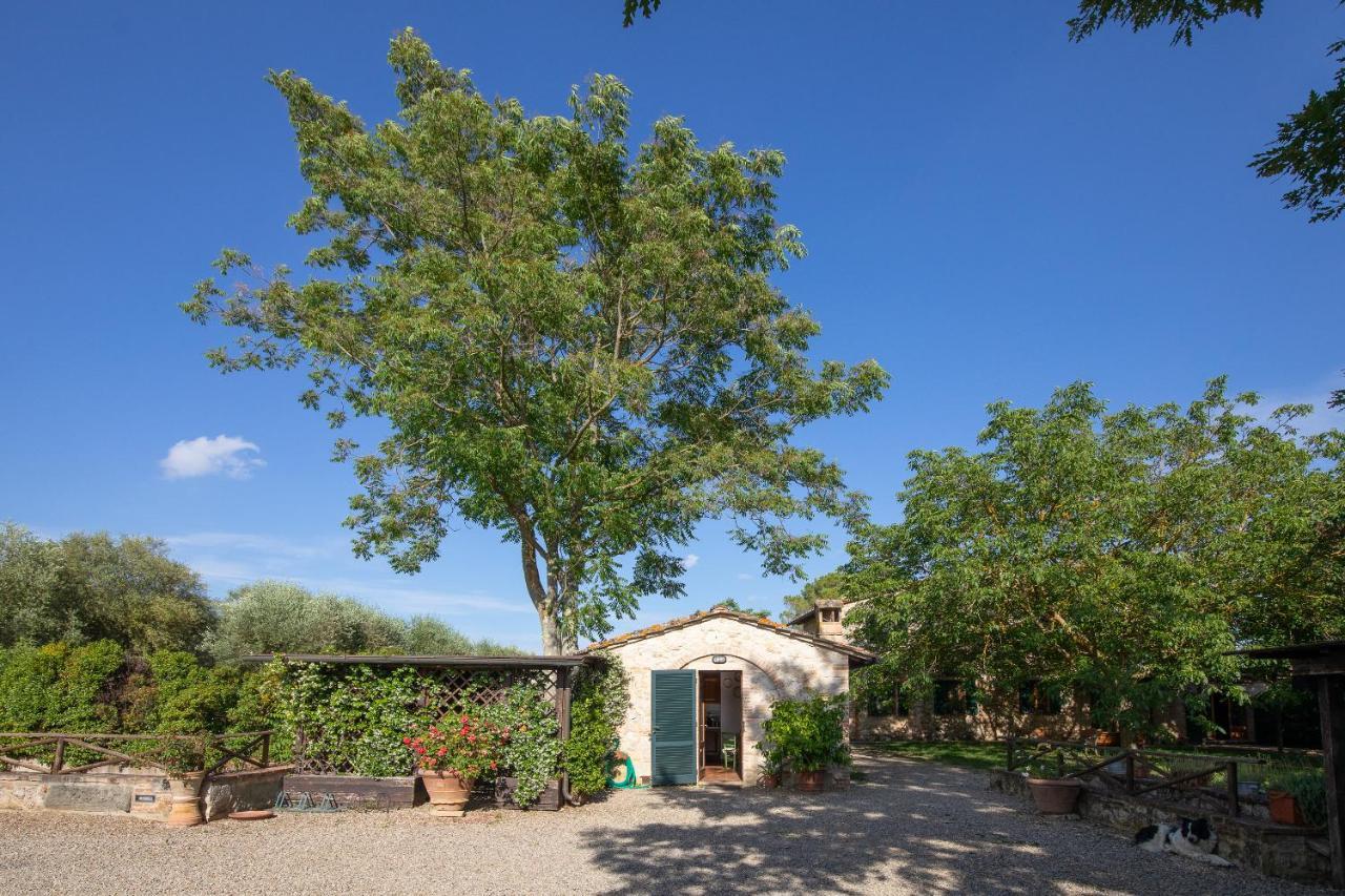 Fontemaggio Apartment Colle di Val d'Elsa Exterior photo